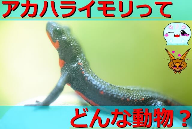 Thumbnail of post image 155